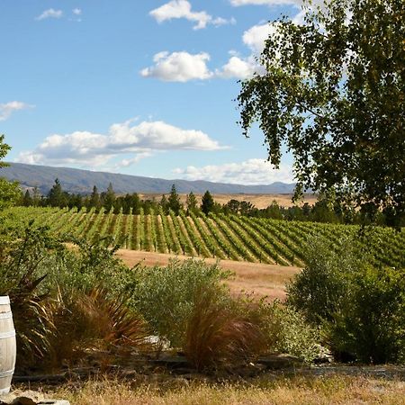 Grey Ridge Vineyard Experience Bed & Breakfast Alexandra Eksteriør bilde