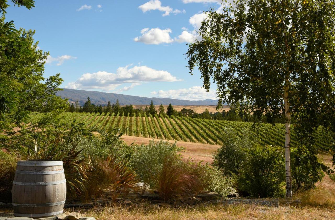 Grey Ridge Vineyard Experience Bed & Breakfast Alexandra Eksteriør bilde