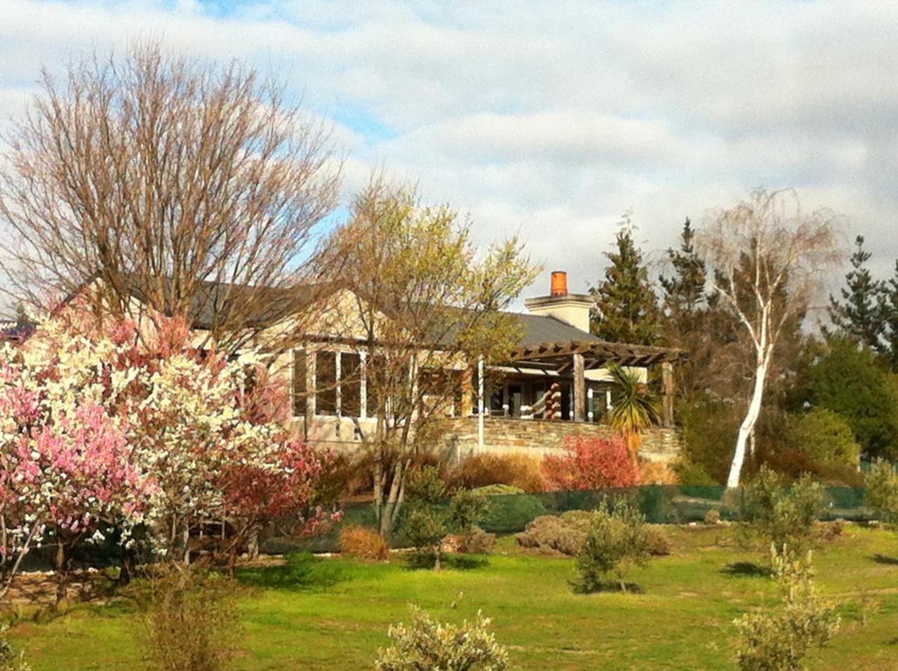 Grey Ridge Vineyard Experience Bed & Breakfast Alexandra Eksteriør bilde
