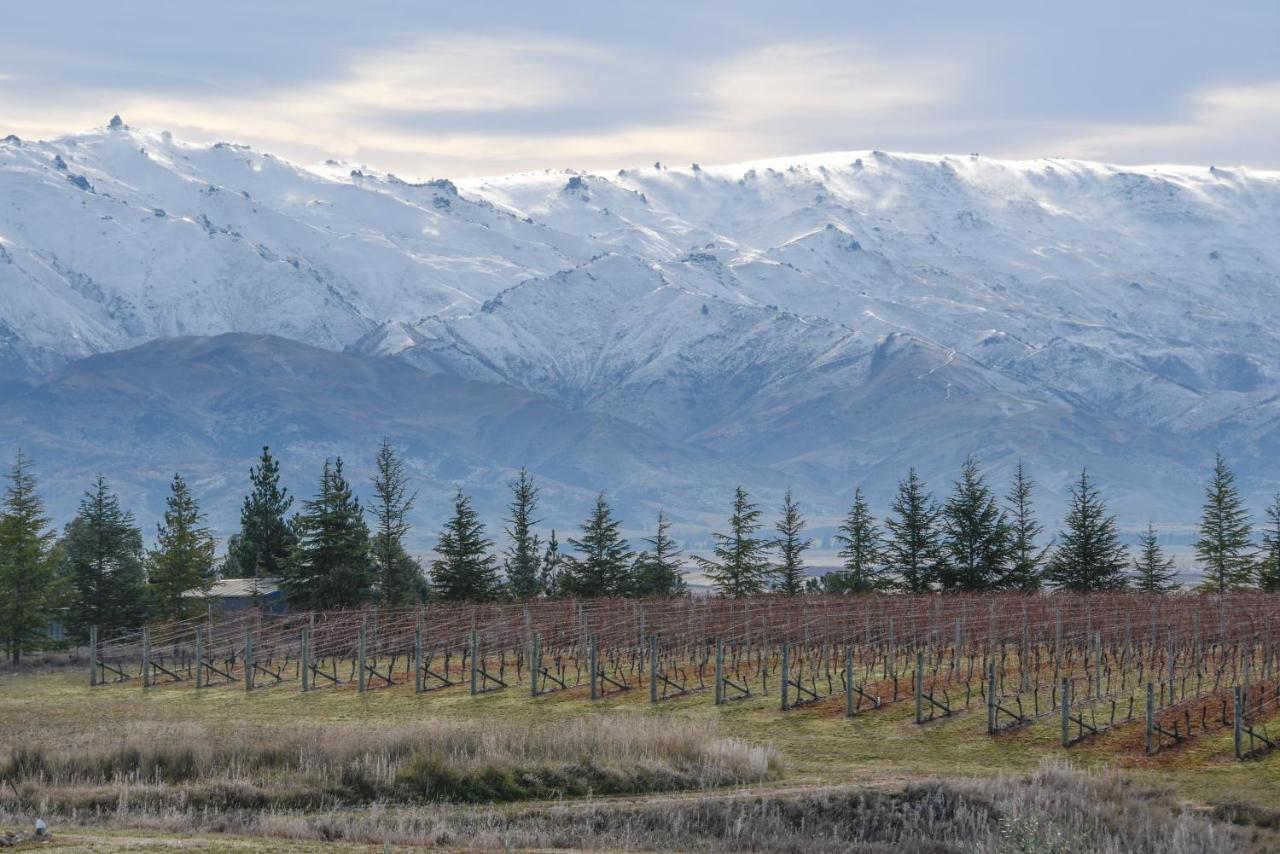 Grey Ridge Vineyard Experience Bed & Breakfast Alexandra Eksteriør bilde